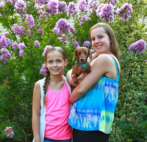 Both_dog1a