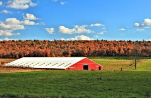 HD_barn_fall_foliage_wallpaper