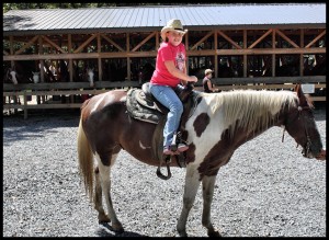 Holl_horse1a