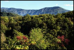 Mount1a