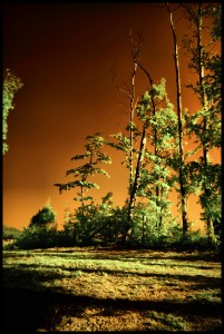 cabinfront_iR2a