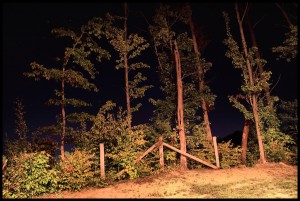 fence_night1a