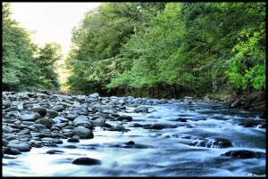 river1a~0